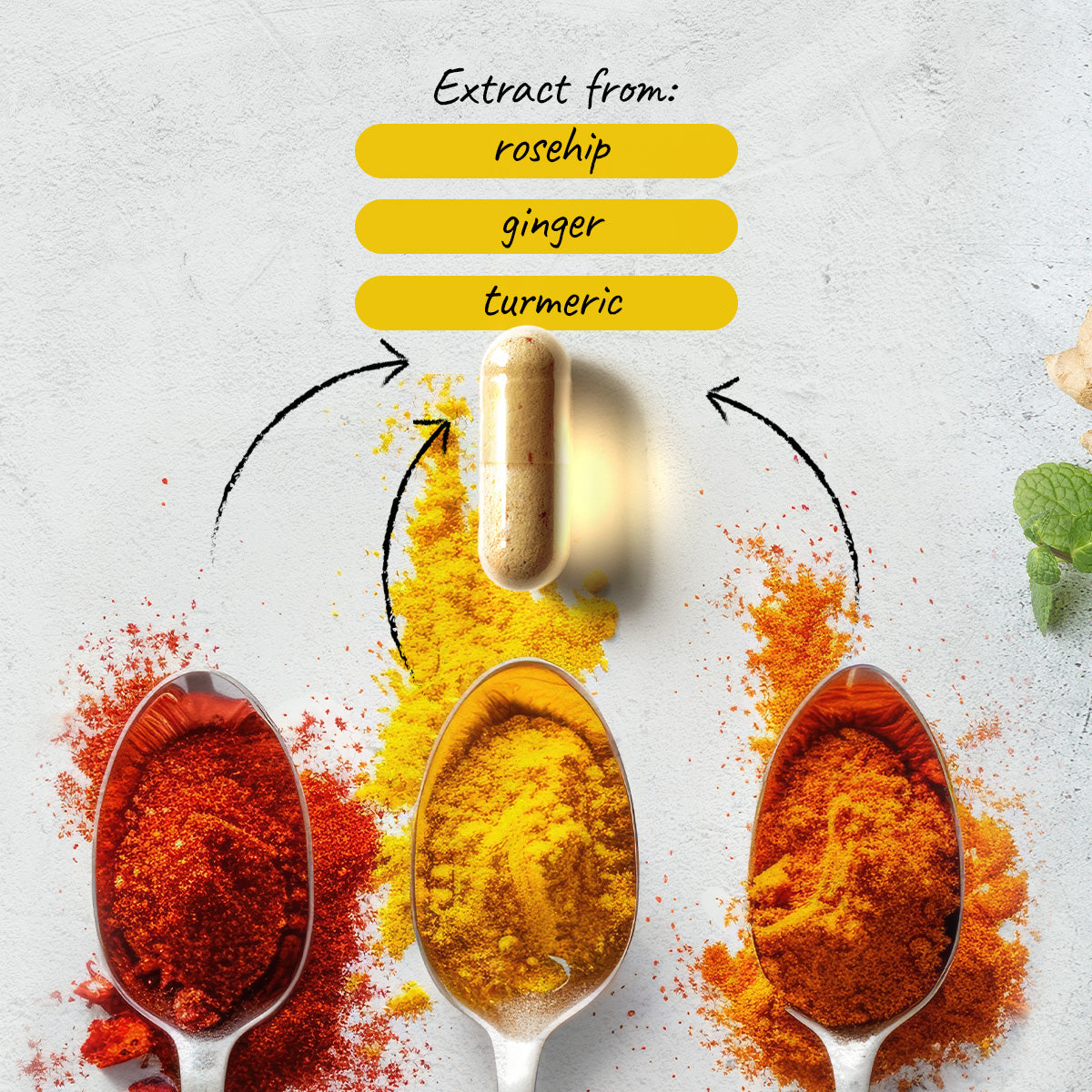 Βιταμίνη C από άγριο τριαντάφυλλο+ Κουρκουμά+ Τζίντζερ
